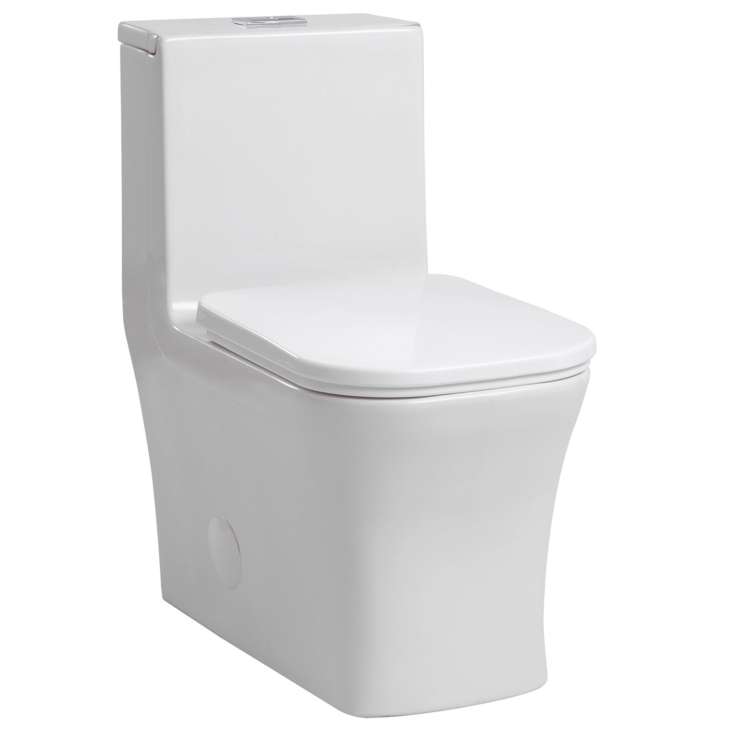 1-Piece 0.8/1.28 GPF Dual Flush Elongated Toilet in White Seat Included, Soft Closing Seat, Quick Release