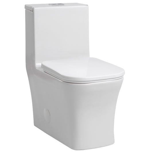 1-Piece 0.8/1.28 GPF Dual Flush Elongated Toilet in White Seat Included, Soft Closing Seat, Quick Release